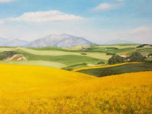 Stunning Overberg Painting!!