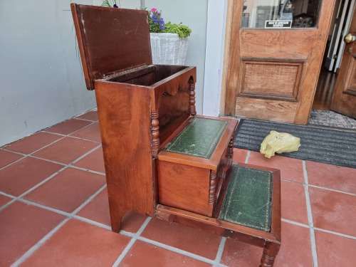 Victorian Library Steps