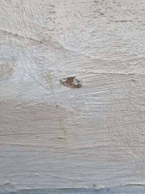 Bezuidenhout Oil Painting