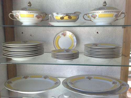 32 PIECE PROTEA CHINA PORCELAIN!!!! CRAZY R1!!!! SEE DESCRIPTION