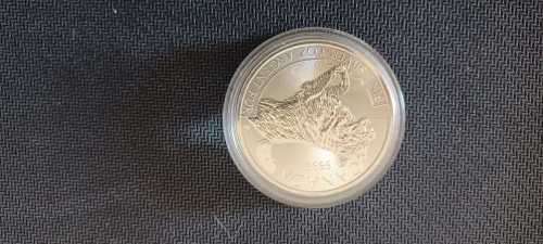 Silver 1oz coin collection