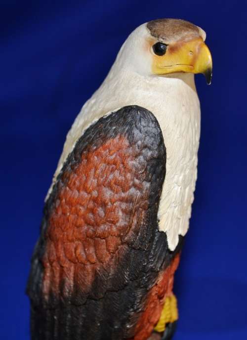 Feathers of Knysna - Limited Edition