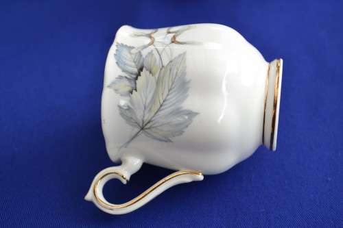 Royal Albert Silver Maple - Four Pieces