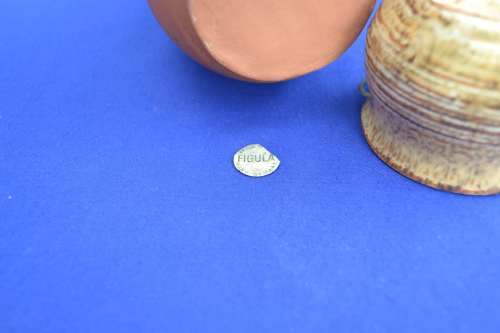 Studio Pottery Fegula Vase and small Ceramic Pot