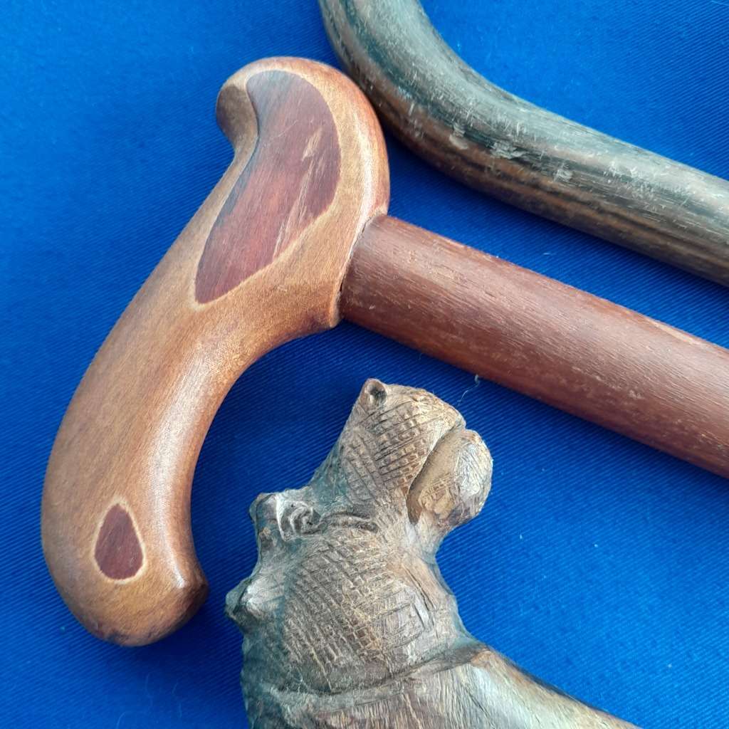 Assorted Vintage Walking Sticks in Vat Style Walking Stick Holder