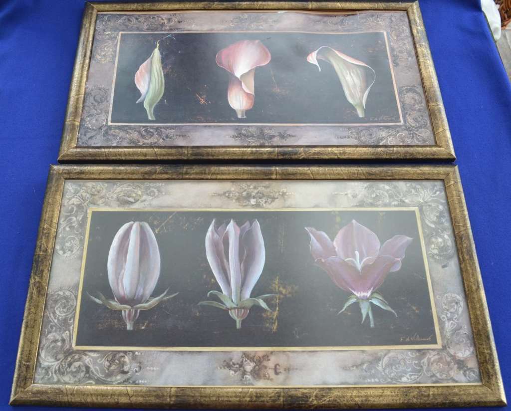 Set of Four Fabrice de Villeneuve Art  in Motion Prints - Awakening Series