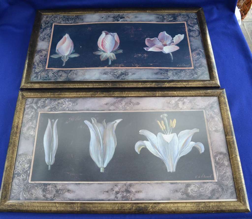 Set of Four Fabrice de Villeneuve Art  in Motion Prints - Awakening Series