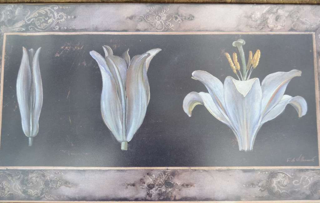 Set of Four Fabrice de Villeneuve Art  in Motion Prints - Awakening Series