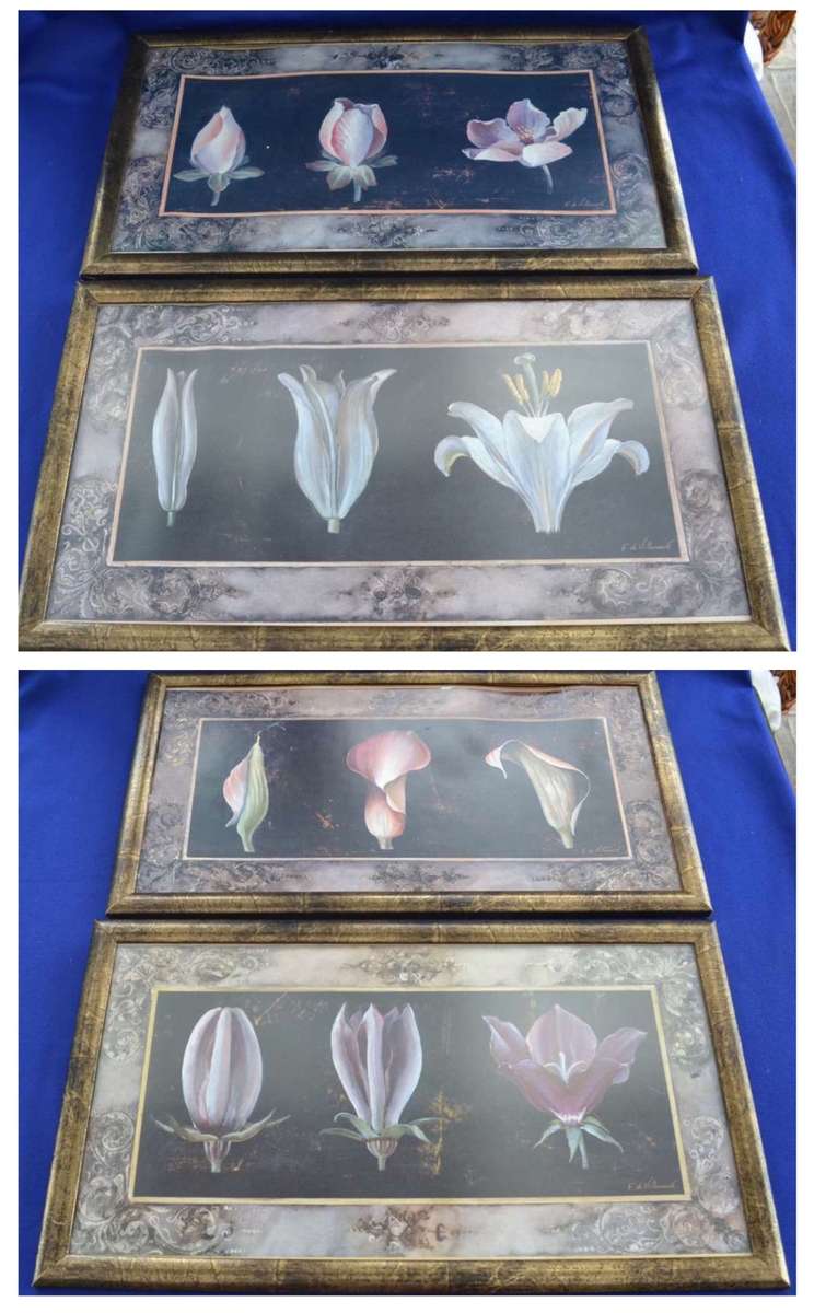 Set of Four Fabrice de Villeneuve Art  in Motion Prints - Awakening Series