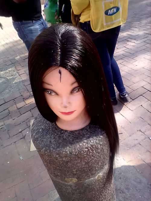 human hair wig with Brazilian closure free shipping