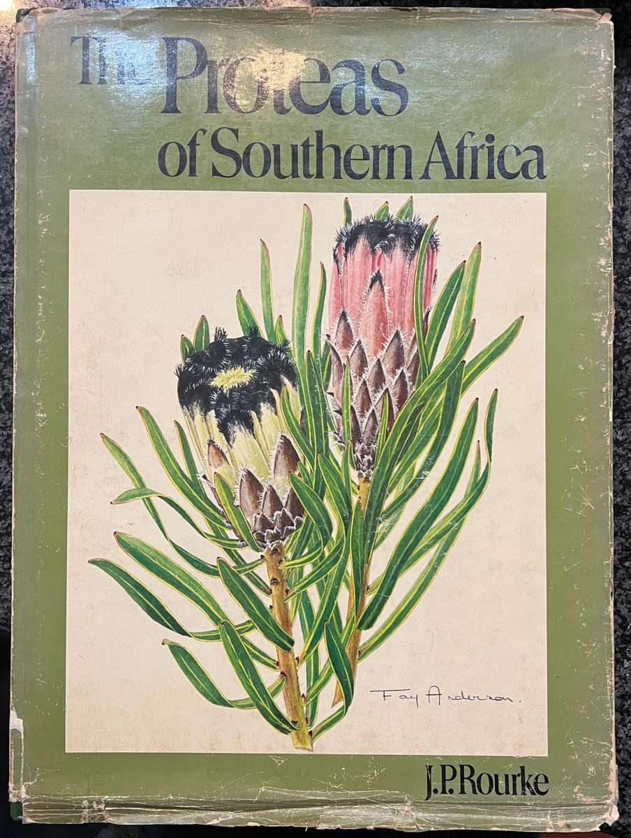 `THE PROTEAS OF SOUTHERN AFRICA` BY JP ROURKE