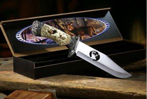 Buck Knife in Presentation Gift Box