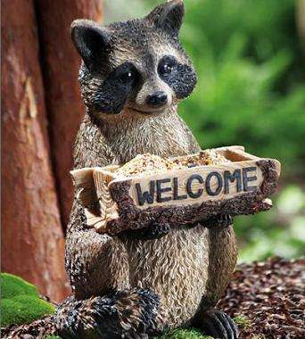 Welcome Raccoon With Birdfeeder