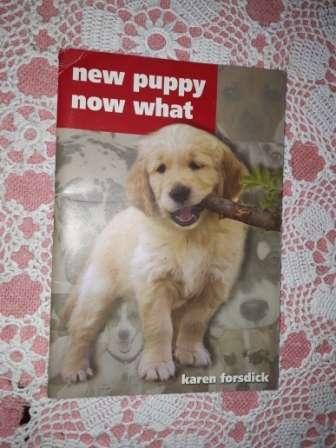 New Puppy Now What   Karen Forsdick