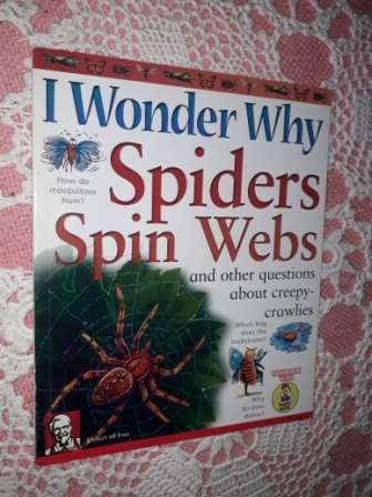 I Wonder Why Spiders Spin Webs