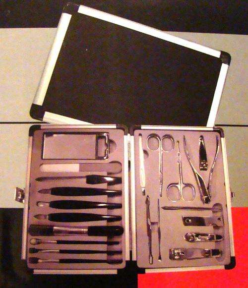 21 PIECE HIGH QUALITY MANICURE SET WITH CARRY CASE