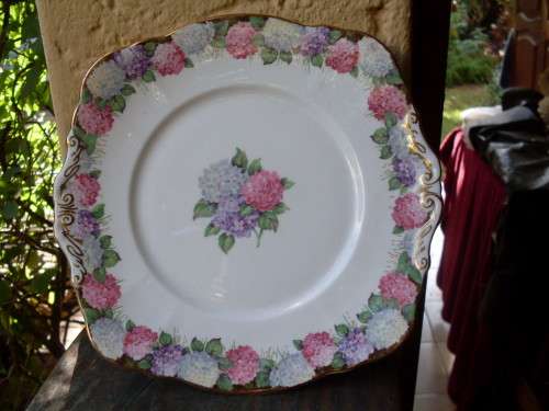 BEAUTIFUL VINTAGE PARAGON CHINA HYDRANGEA FLOWER (CHRISMAS ROSE) CAKE SERVING PLATE PINK, BLUE + WOW