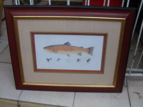 BEAUTIFULLY & TASTEFULLY FRAMED 4 THE FISHERMEN! SALMON TRUTTA FISH PRINT (DAVE VOORVELT) REAL FLIES