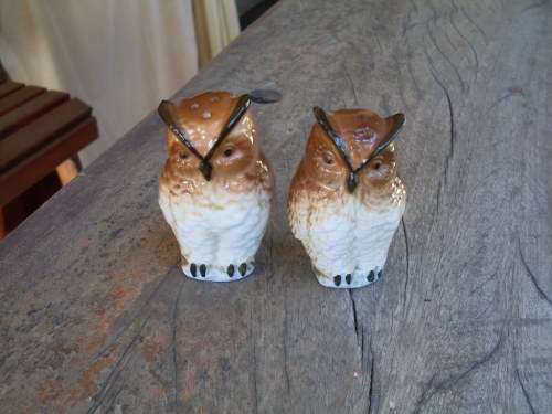 FOR THE OWL LOVERS, BONE CHINA TAIWAN SALT & PEPPER POTS. LOVELY DETAIL