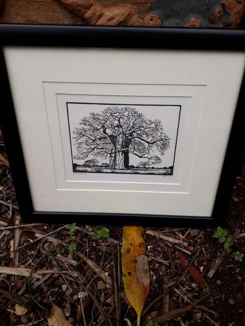 EXQUISITELY FRAMED PHOTO LITHOGRAPH OF TRANSVAAL BOABAB BY INIMITABLE J H PIERNEEF. GRAB IT!