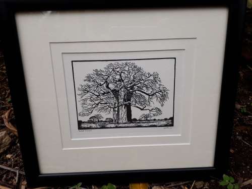 EXQUISITELY FRAMED PHOTO LITHOGRAPH OF TRANSVAAL BOABAB BY INIMITABLE J H PIERNEEF. GRAB IT!