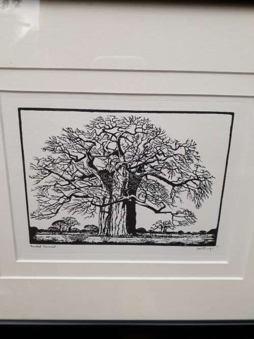 EXQUISITELY FRAMED PHOTO LITHOGRAPH OF TRANSVAAL BOABAB BY INIMITABLE J H PIERNEEF. GRAB IT!