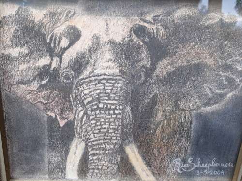BEAUTIFUL FRAMED DEPICTION OF AN ELEPHANT BY RIA SCHEEPBOUWER PENCIL & WATER COLOUR WASH