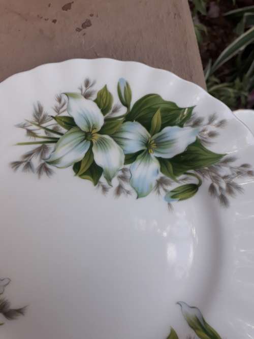 BEAUTIFUL ROYAL ALBERT TRILLIUM SIDE PLATE WHITE FLOWER GREEN LEAF, SUPER