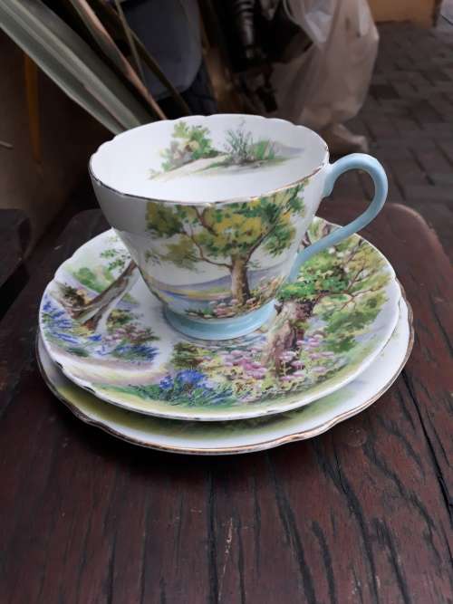 SHELLEY ENGLAND FINE BONE CHINA VINTAGE WOODLAND 13348 TEA TRIO, TREES, FLOWERS ETC