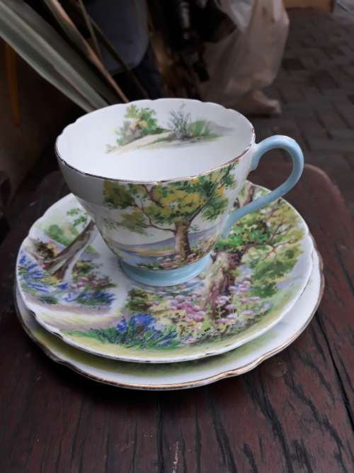 SHELLEY ENGLAND FINE BONE CHINA VINTAGE WOODLAND 13348 TEA TRIO, TREES, FLOWERS ETC