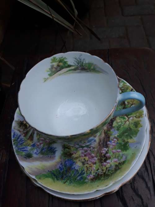 SHELLEY ENGLAND FINE BONE CHINA VINTAGE WOODLAND 13348 TEA TRIO, TREES, FLOWERS ETC