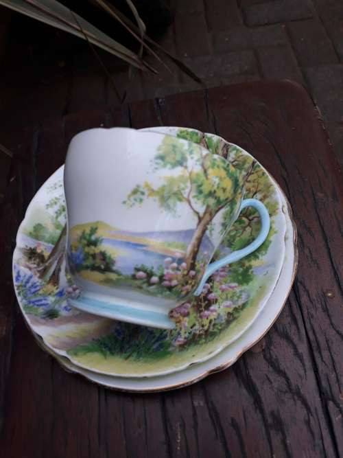 SHELLEY ENGLAND FINE BONE CHINA VINTAGE WOODLAND 13348 TEA TRIO, TREES, FLOWERS ETC