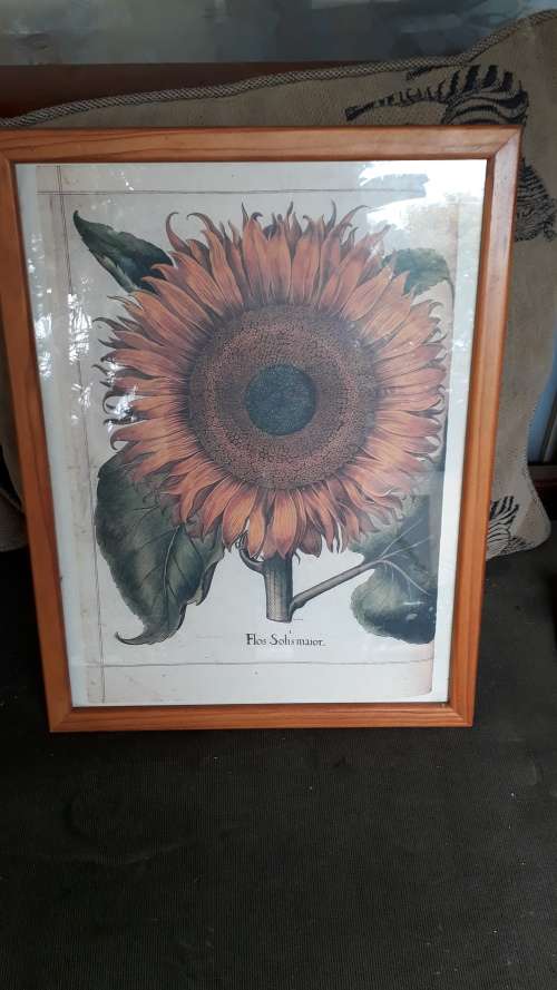 FRAMED SUNFLOWER PRINT