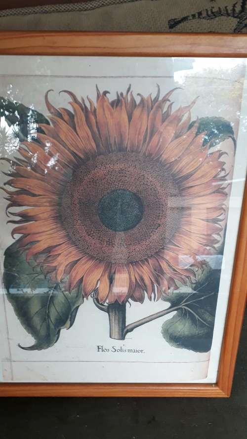 FRAMED SUNFLOWER PRINT