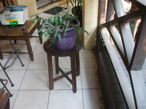 WHAT I BELIEVE IS A WOOD FERN/PLANT STAND TABLE. SEE FOR YOURSELF!