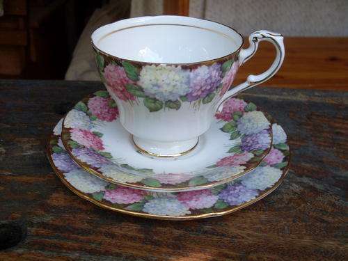 STUNNING VINTAGE PARAGON TEA TRIO,  EXQUISITE HYDRANGEA FLOWERS (CHRISTMAS ROSE) DETAIL. BLUE & PINK