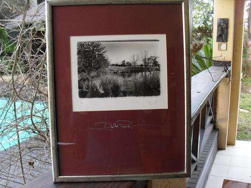AWESOME AND BEAUTIFULLY FRAMED  PHOTOGRAPH OF DELTA PARK BY WELL KNOWN  PHOTOGRAPHER PIERRE PETERS