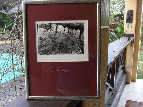 MAGNIFICENT AND BEAUTIFULLY FRAMED PHOTOGRAPH OF DELTA PARK BY PHOTOGRAPHER PIERRE PETERS MUST SEE!
