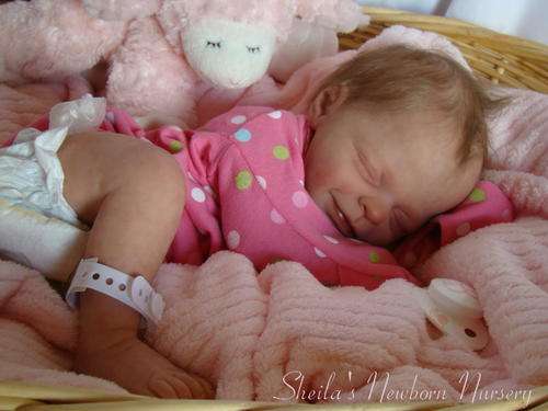 ***Brand New Sunshine kit by Marita Winters***Limited Edition of 600