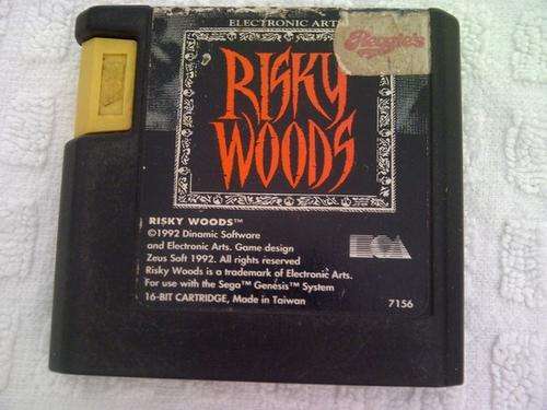 Risky Woods sega mega drive