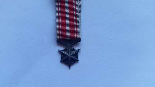 SAP Combating terrorism medal - miniature