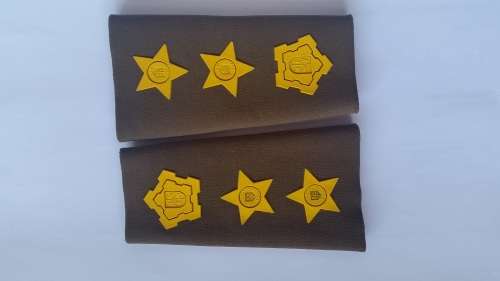 Colonel's rank - Nutria slip ons - Full set.