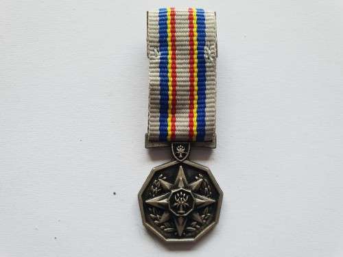 SAPS 20 Year Loyal Service Medal - miniature
