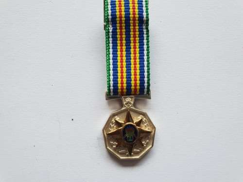 SAPS 30 Year Loyal Service Medal - miniature