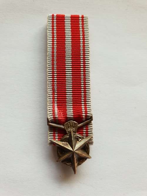 SAP Combating Terrorism medal - miniature
