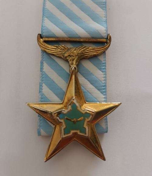 SADF  - Ad Astra decoration - Full size - (PLEASE READ THE DESCRIPTION)