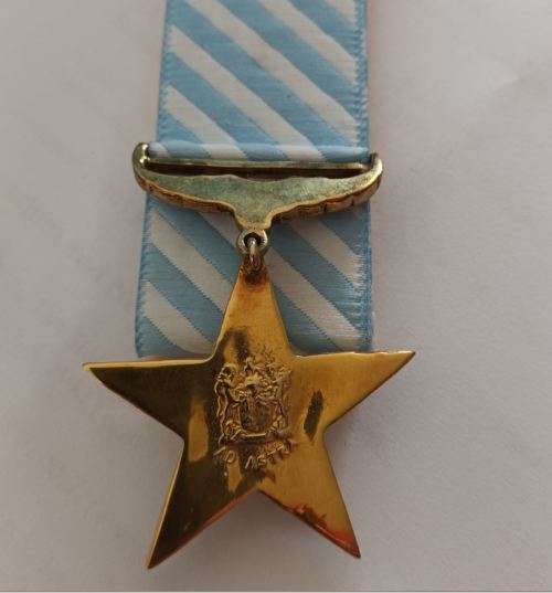 SADF  - Ad Astra decoration - Full size - (PLEASE READ THE DESCRIPTION)