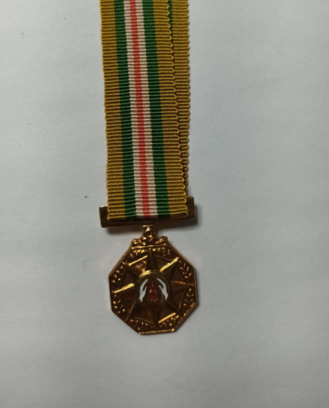 SA Railway Police Star for Faithful Service - miniature