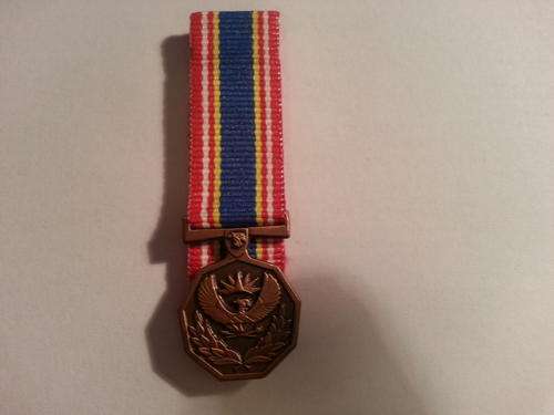SAPS 10 Year Loyal Service Medal - miniature