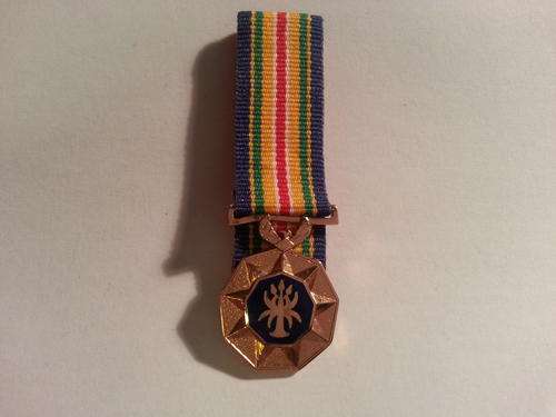 SAPS Gold Medal for Outstanding Service - miniature